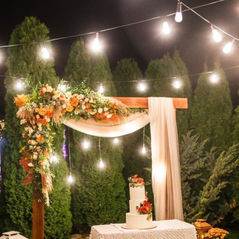 Are you looking to incorporate eco-friendly and energy efficient lighting to your backyard?
